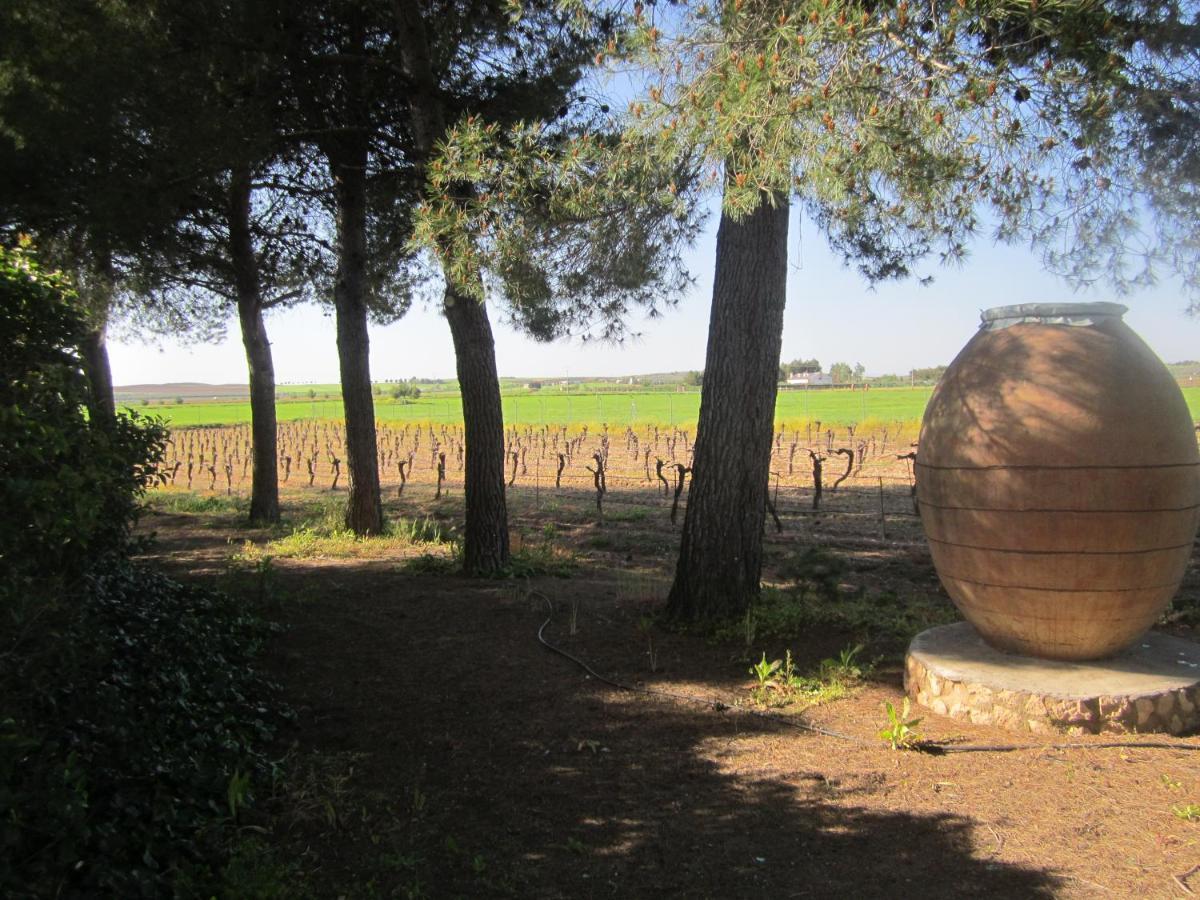 Casa Finca Rural La Huerta 阿尔玛格鲁 外观 照片