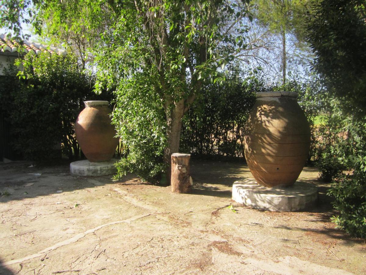 Casa Finca Rural La Huerta 阿尔玛格鲁 外观 照片